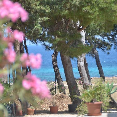 Pineta Sul Mare Appartamento Castelluzzo Esterno foto