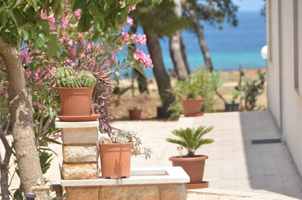 Pineta Sul Mare Appartamento Castelluzzo Esterno foto