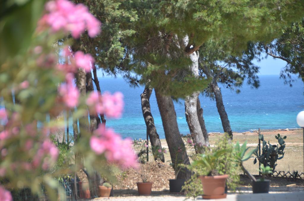 Pineta Sul Mare Appartamento Castelluzzo Esterno foto