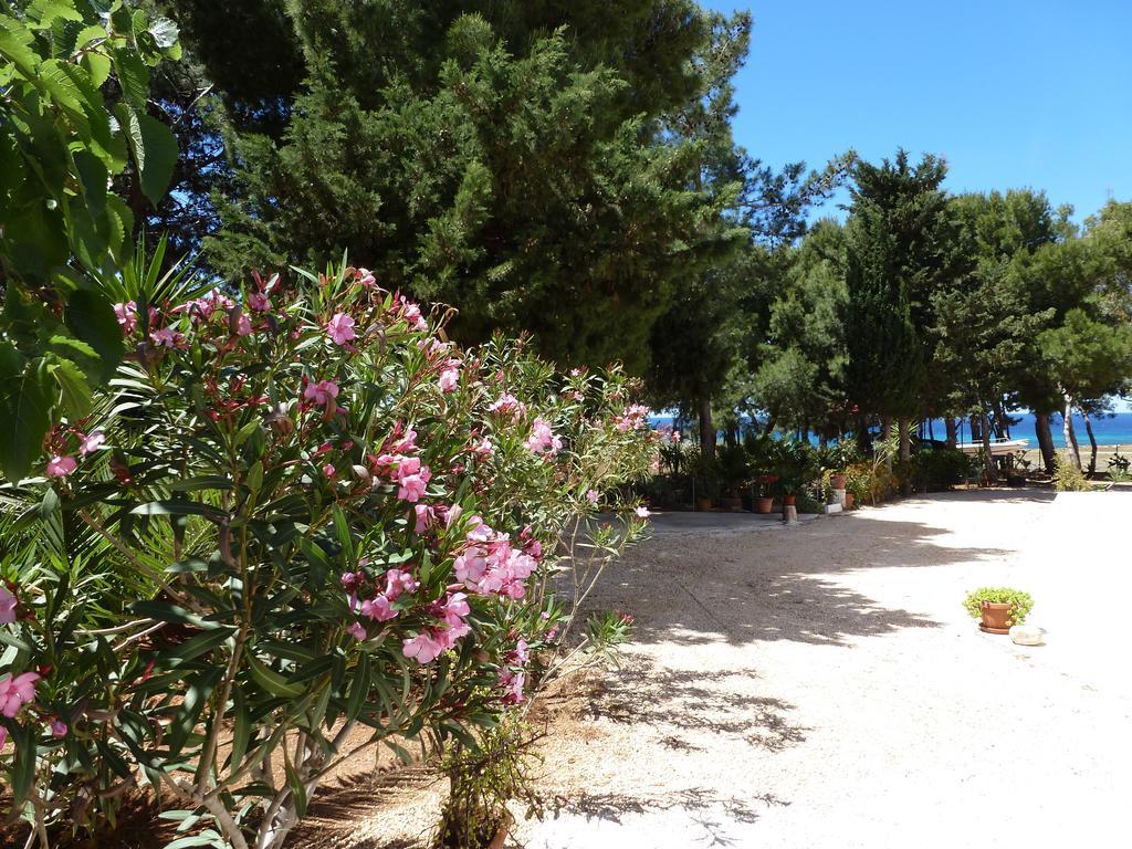 Pineta Sul Mare Appartamento Castelluzzo Esterno foto