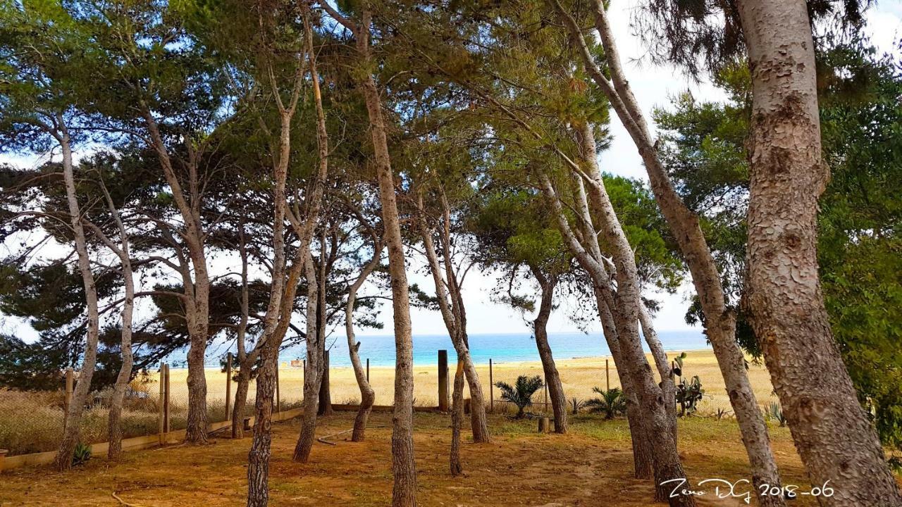 Pineta Sul Mare Appartamento Castelluzzo Esterno foto